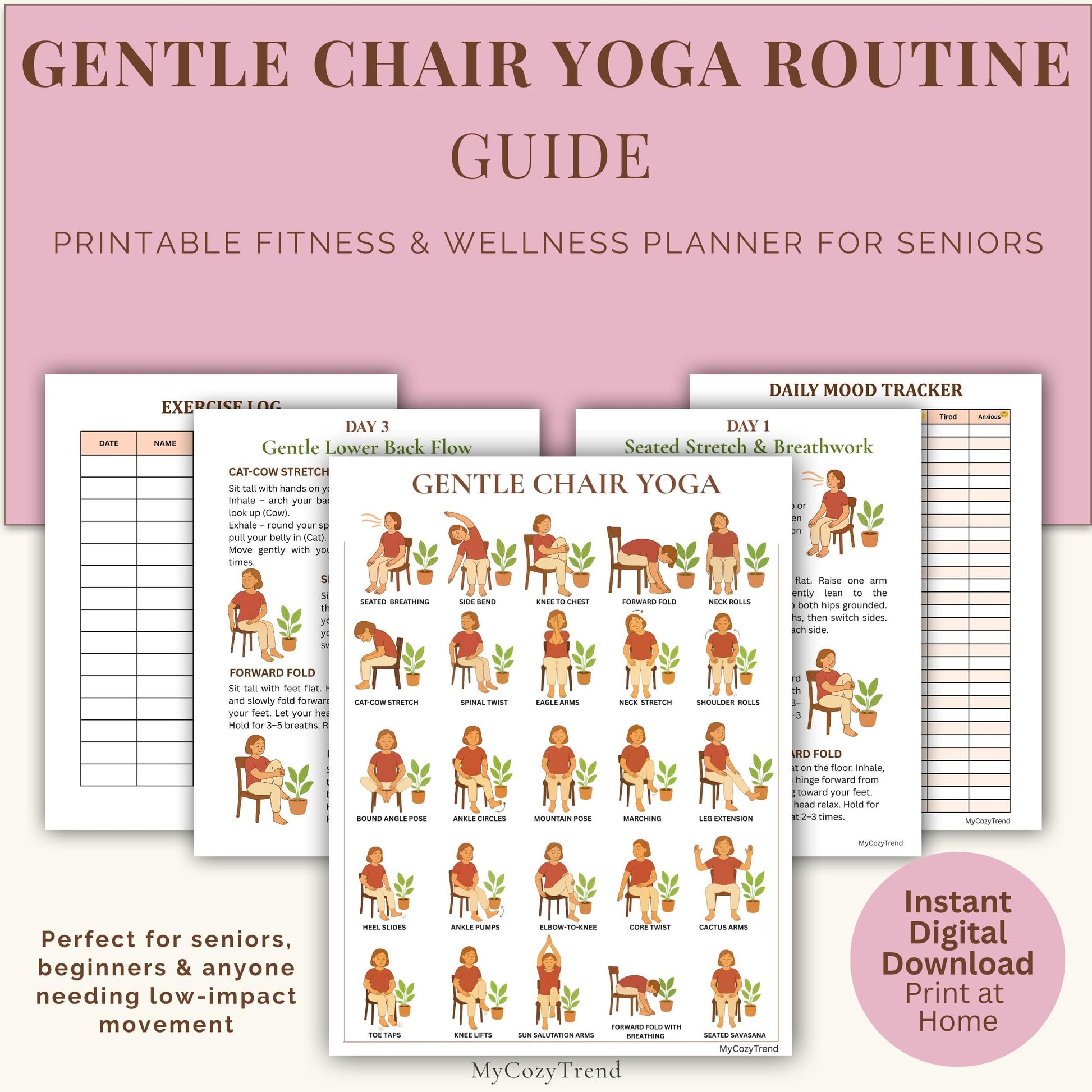 Chair Yoga Plan – Gentle 4 Week Printable Fitness Program | senior-friendly seated yoga routine printable PDF