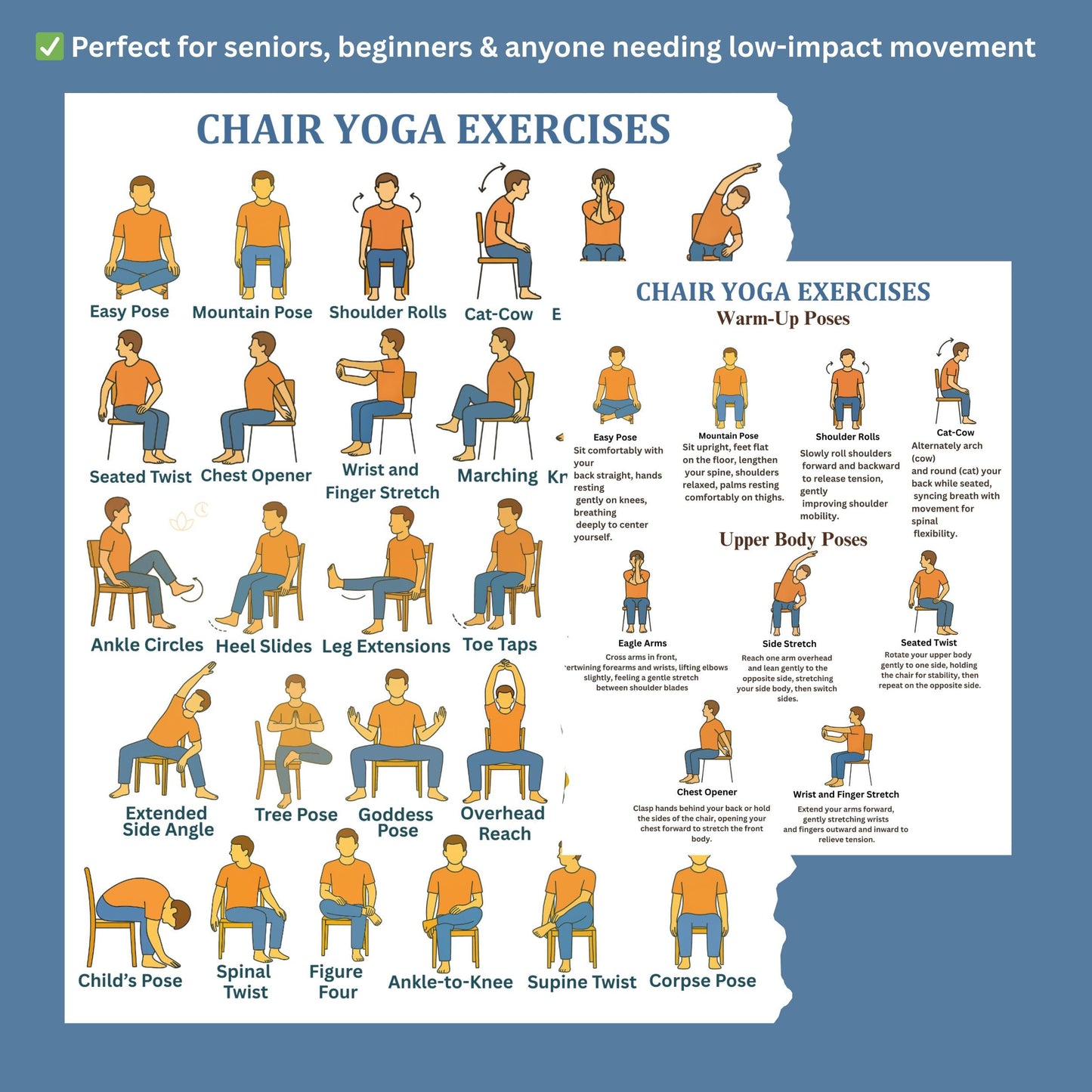 Chair Exercises Printable Bundle – 30 Illustrated Seated Yoga Poses | senior-friendly seated yoga chart with descriptions, mobility routine printable PDF
