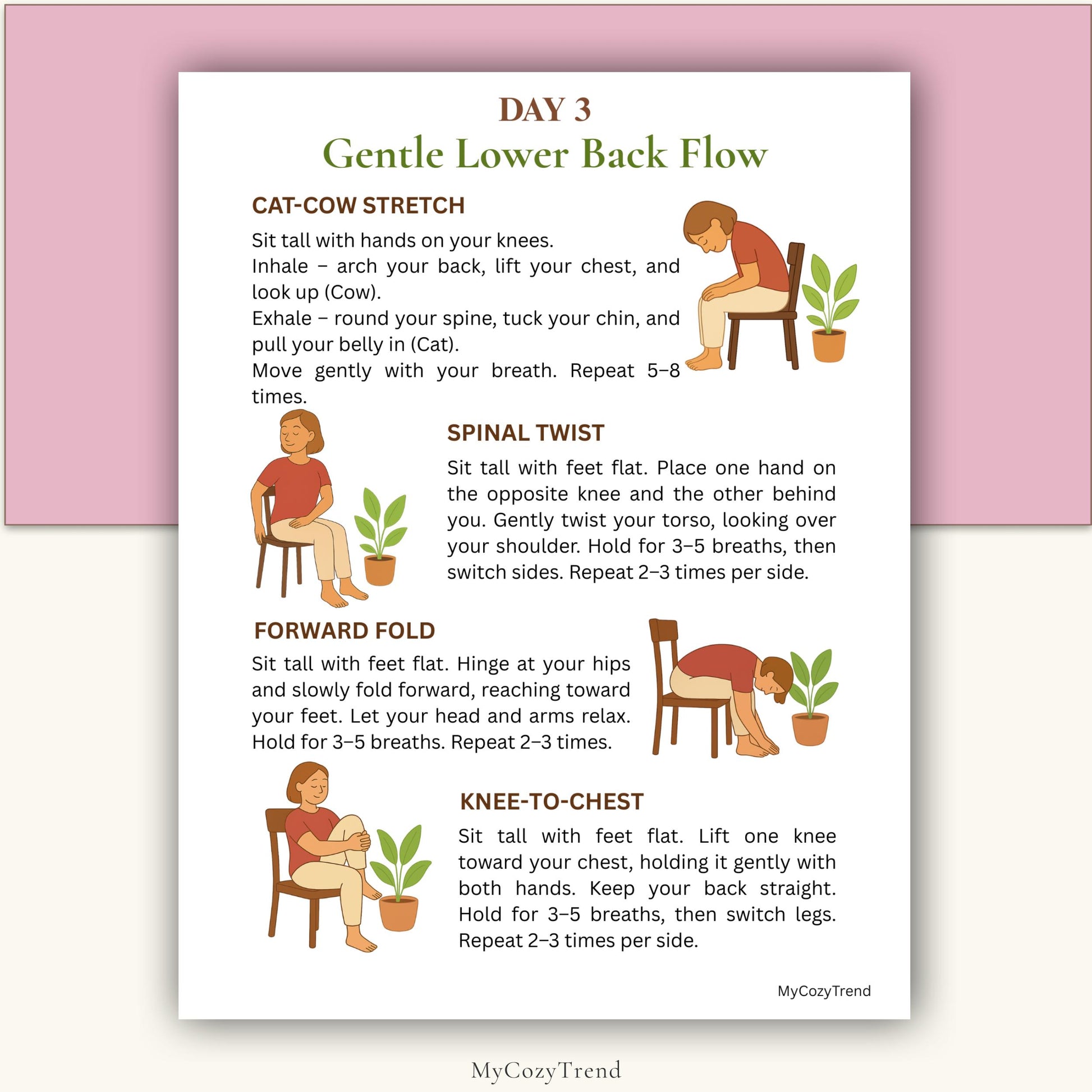 Chair Yoga Plan – Gentle 4 Week Printable Fitness Program | senior-friendly seated yoga routine printable PDF